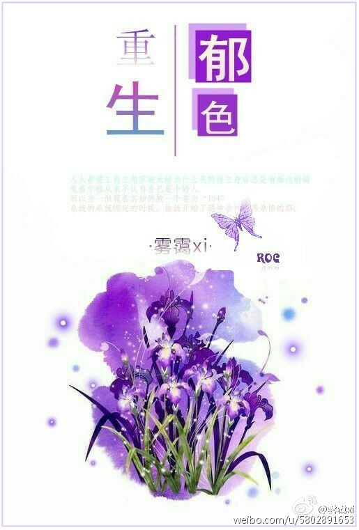 媳妇儿，我在你隔壁